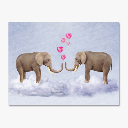 Elephant lover