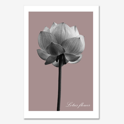 연꽃 ver.1  (lotus)