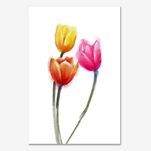 튤립 (tulips)
